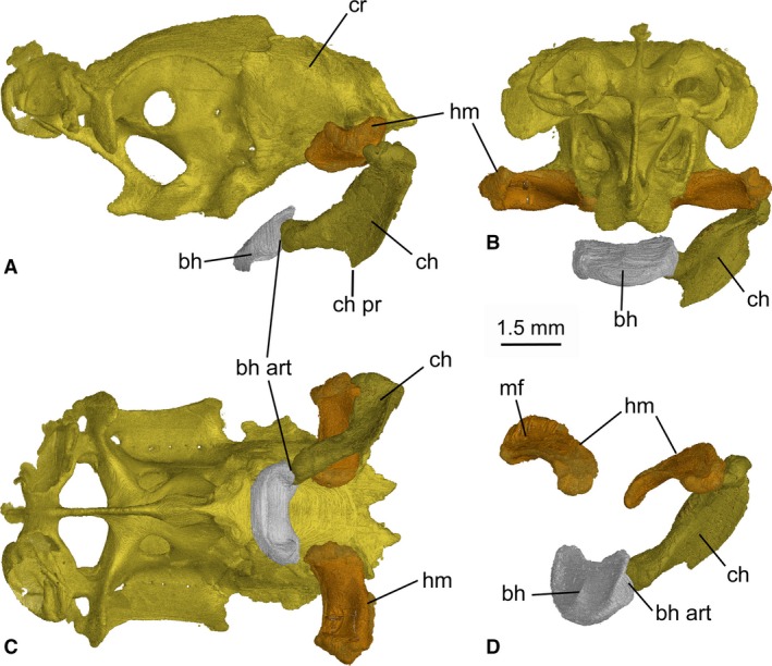 Figure 11