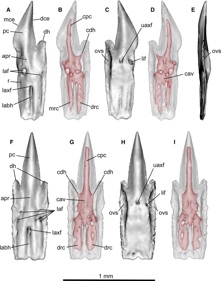 Figure 10