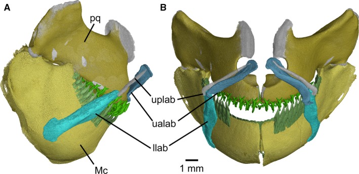 Figure 7