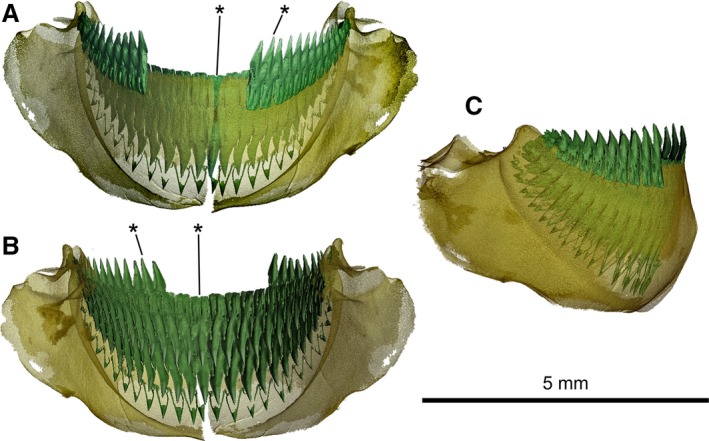 Figure 9