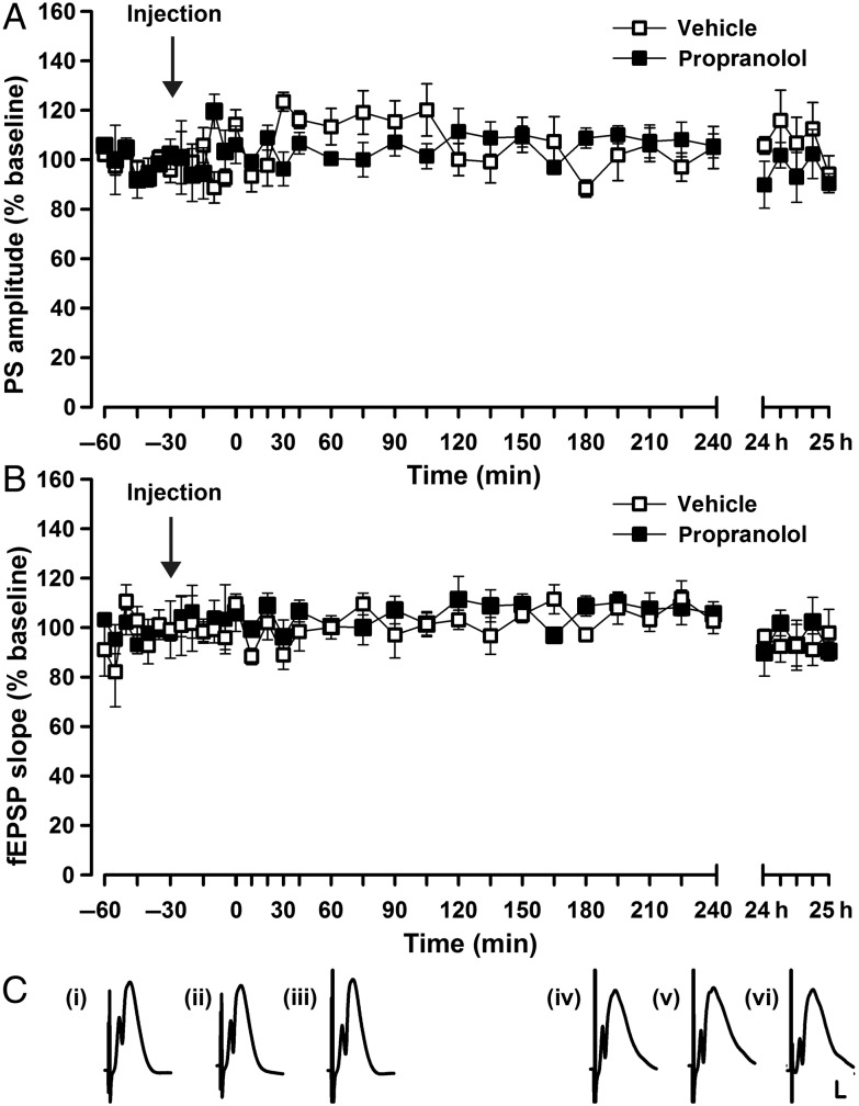 Figure 5.