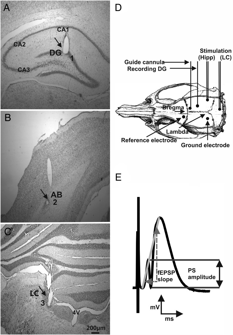 Figure 1.