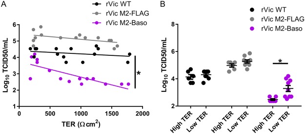 FIG 6