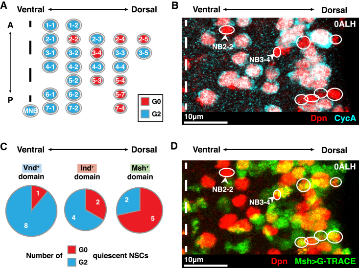 Figure 3