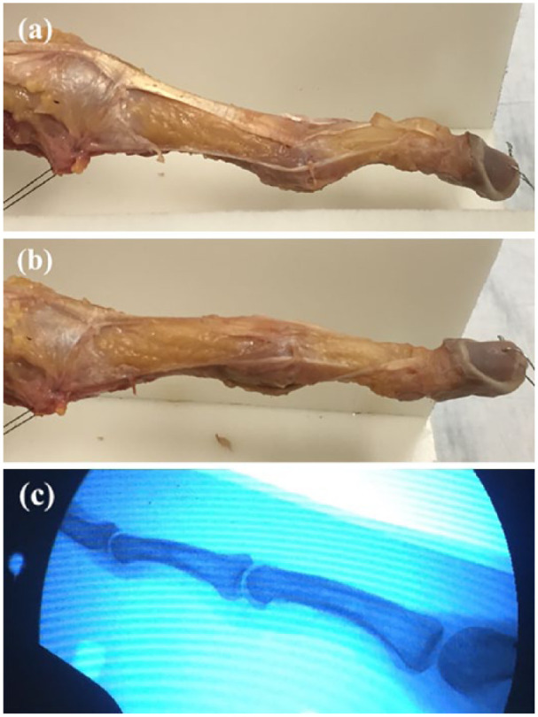 Figure 3.