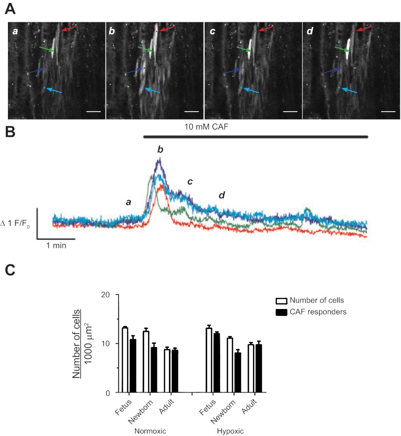 Fig. 9.