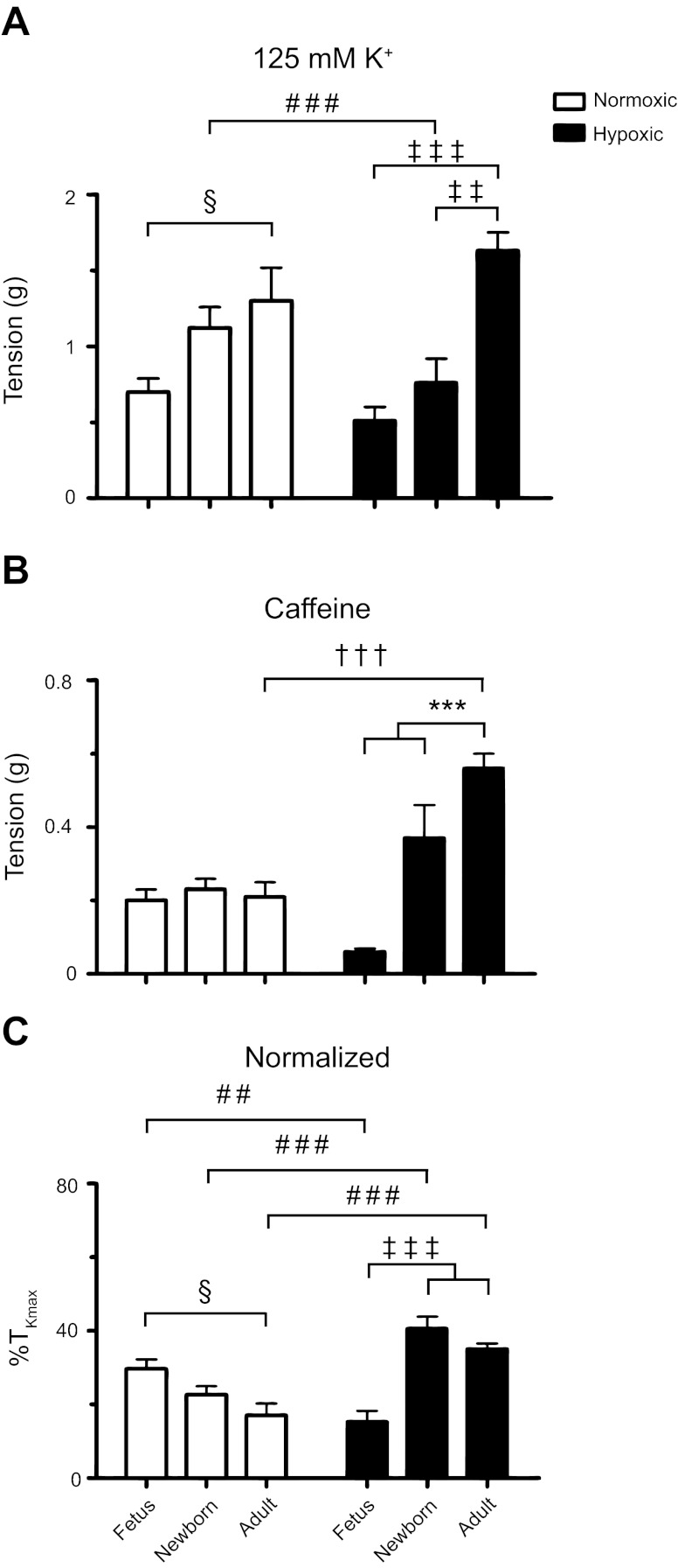 Fig. 11.