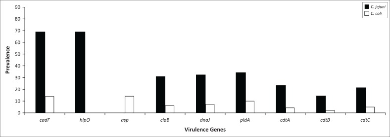 FIGURE 3