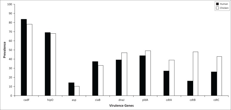 FIGURE 2