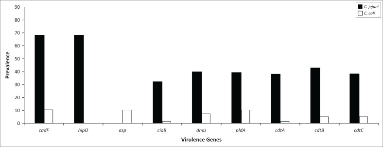 FIGURE 4