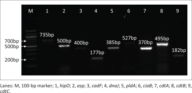 FIGURE 1