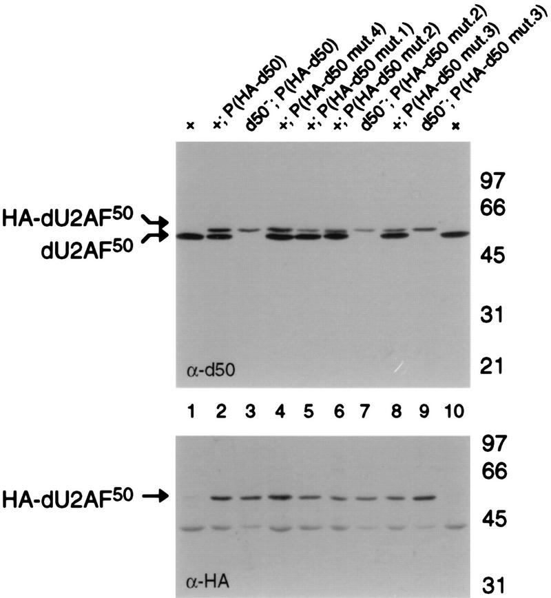 FIG. 7