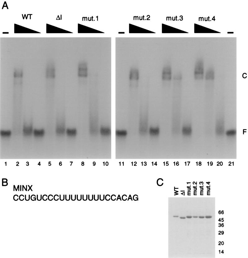 FIG. 5