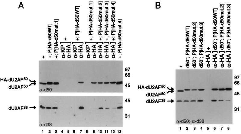 FIG. 8