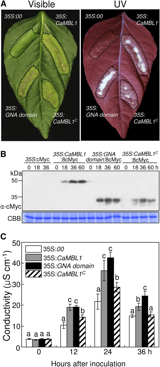 Figure 5.