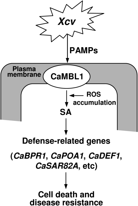 Figure 10.