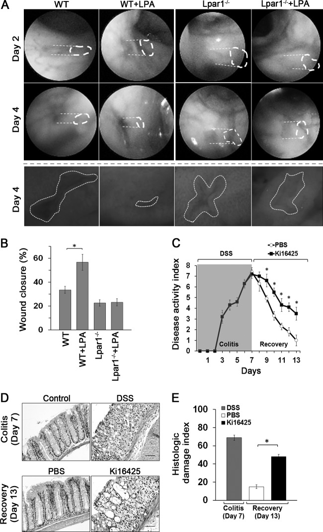 Fig 9