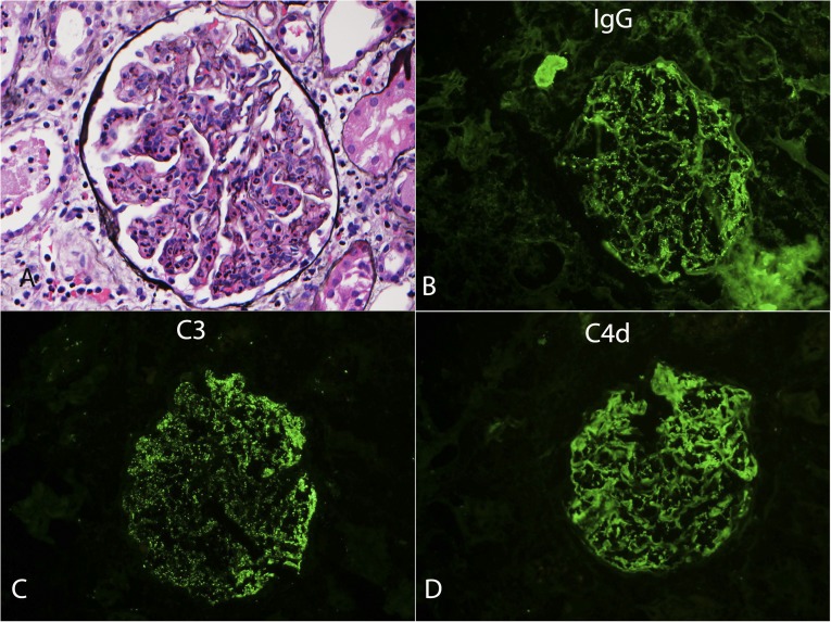 Figure 4.