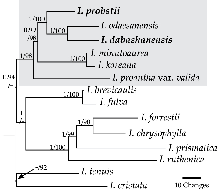 Figure 1.