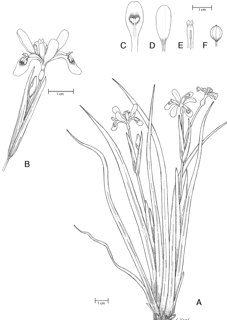 Figure 5.