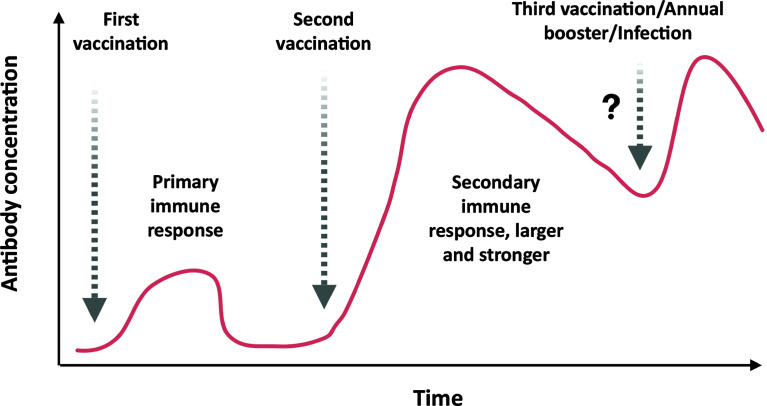 Figure 5