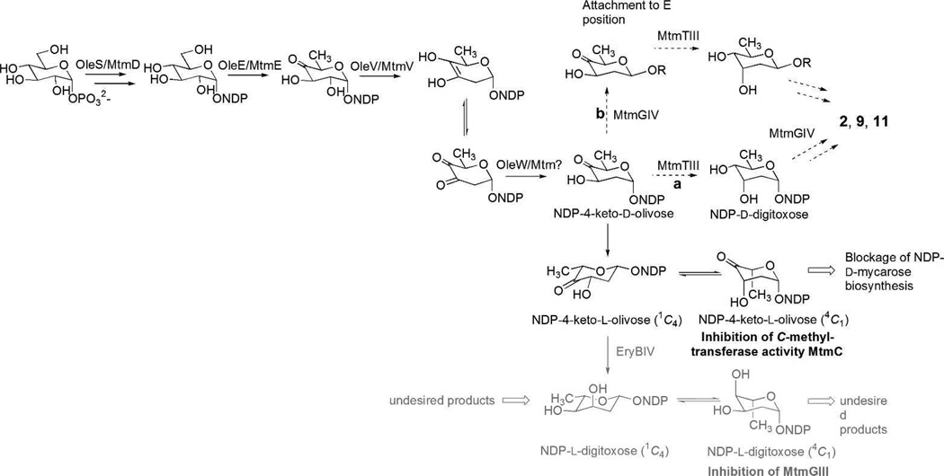 Scheme 1