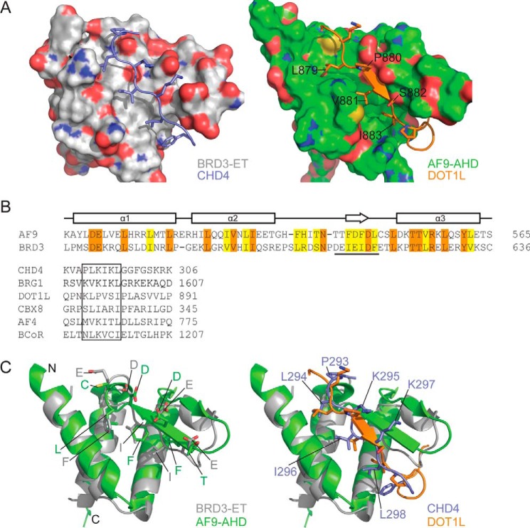 Figure 10.