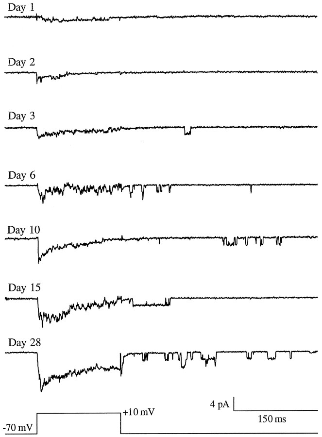 Fig. 5.