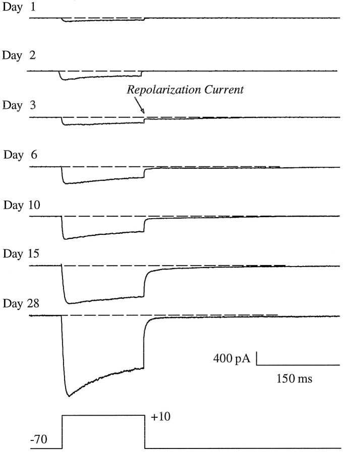 Fig. 2.