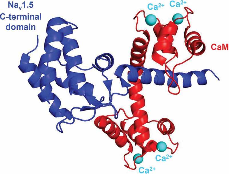 Figure 4.