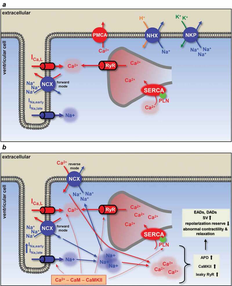 Figure 5.