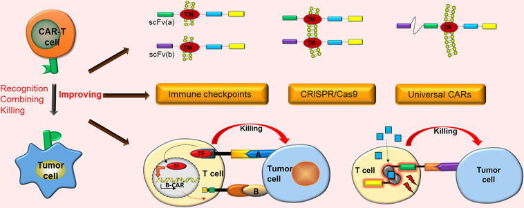 Graphical Abstract