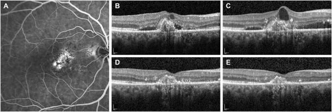 FIGURE 2