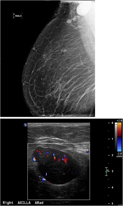 Fig. 9