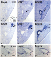 Figure 6.