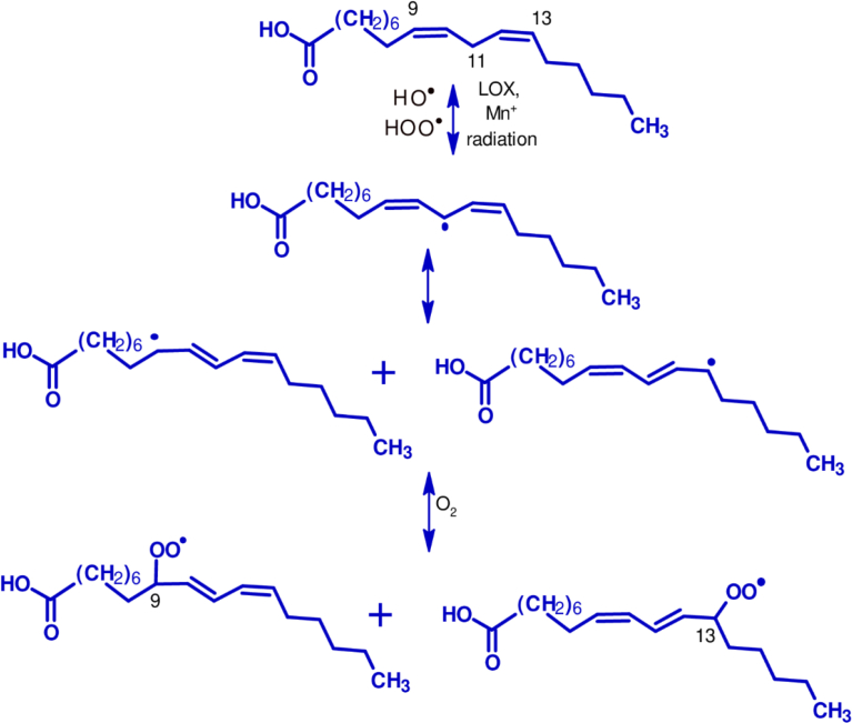 Fig. 2