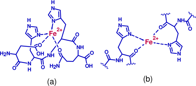 Fig. 3