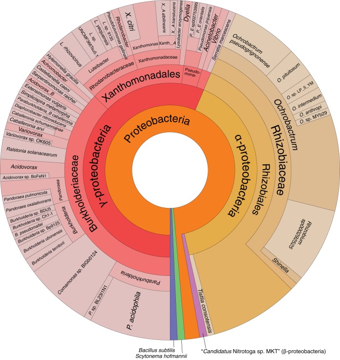 FIG 6