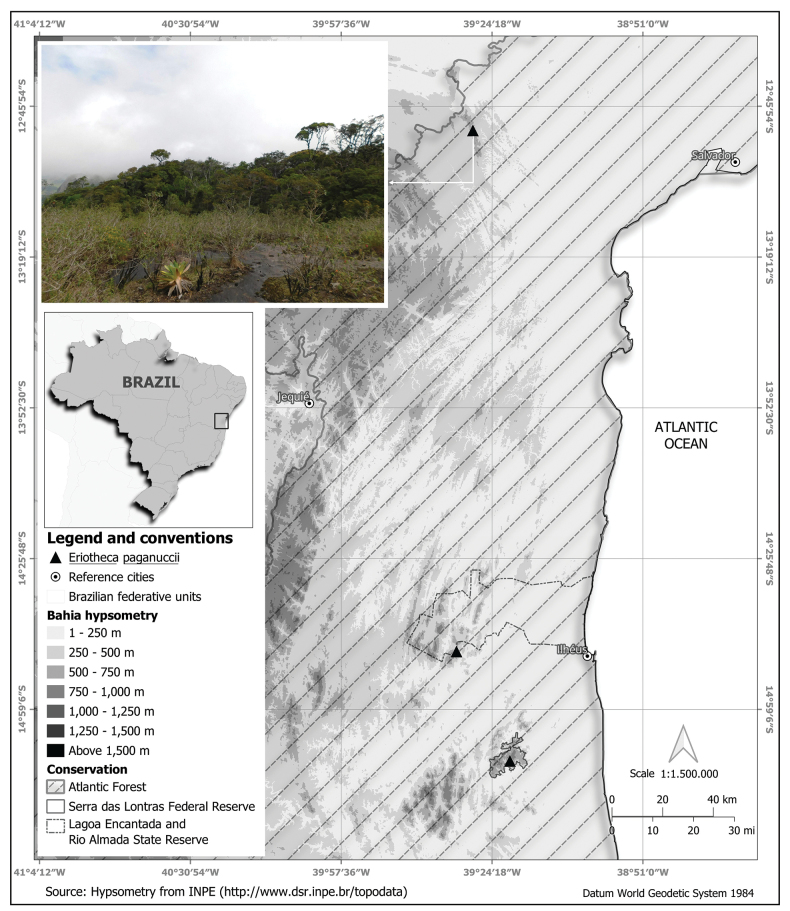 Figure 3.