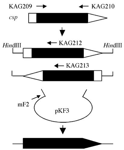 FIG. 1.