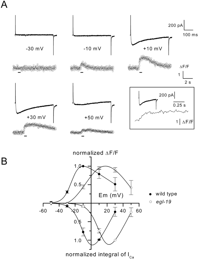 Figure 8.