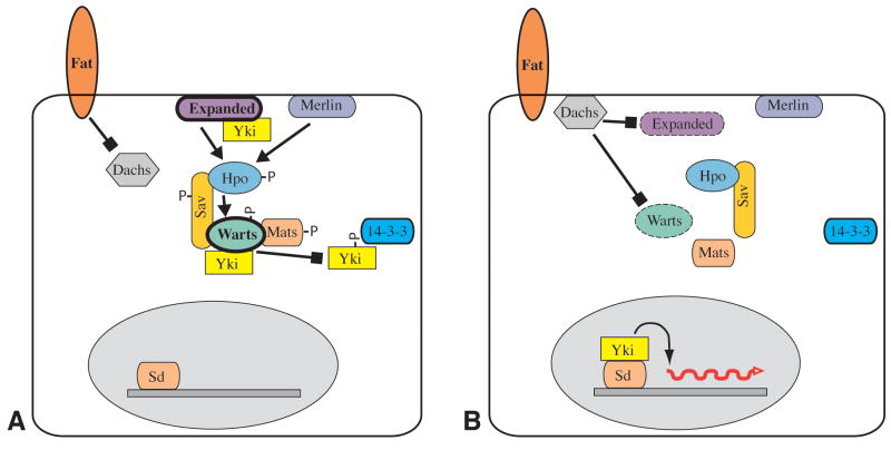 Fig 5