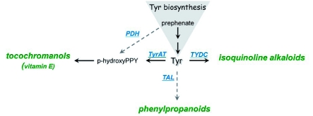 Figure 9.