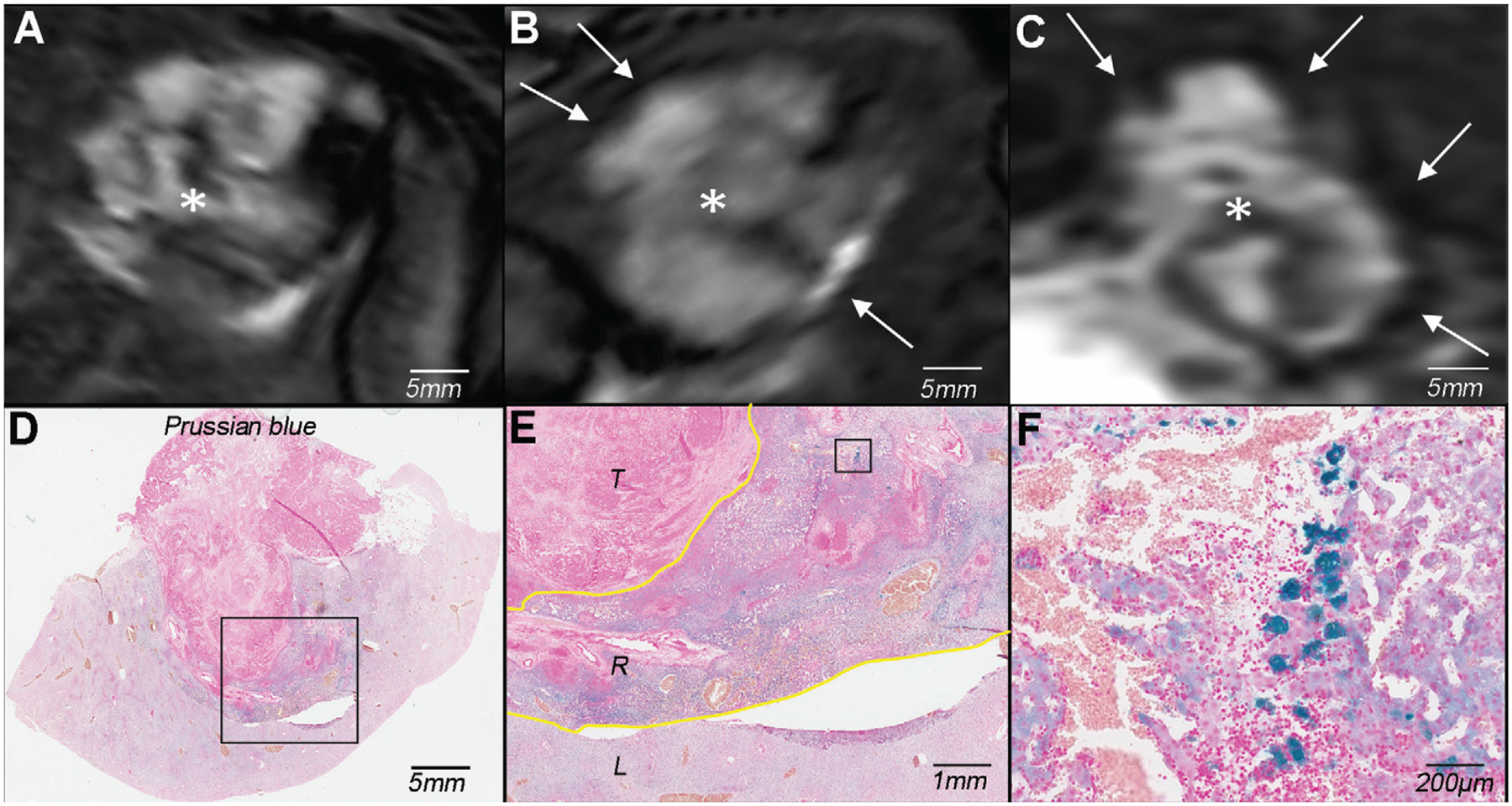 Figure 3: