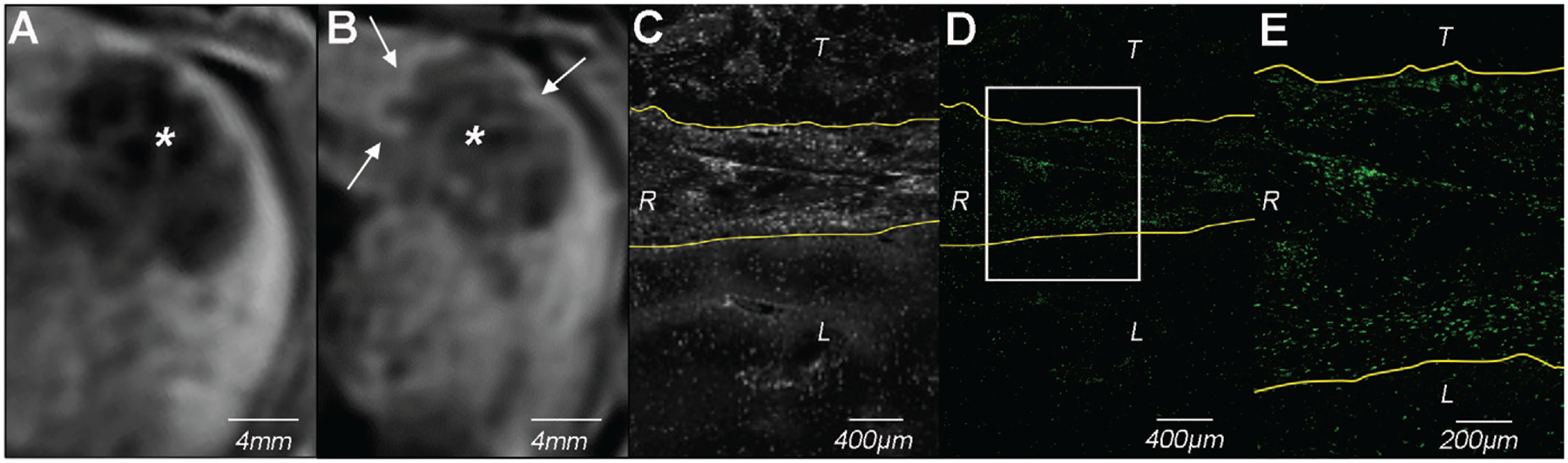 Figure 2: