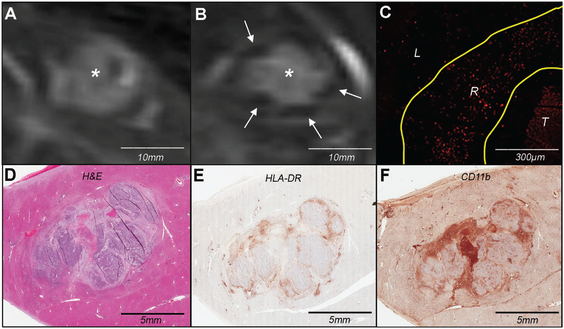 Figure 4: