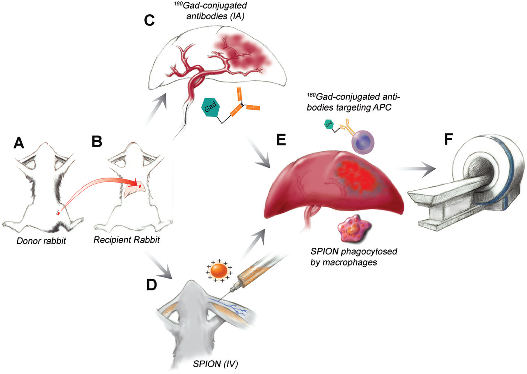 Figure 1: