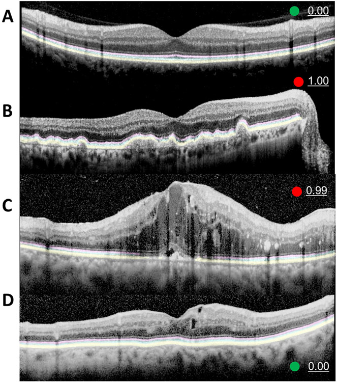 Figure 5.