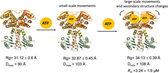 Fig. 8