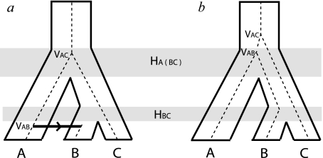 FIG. 1.